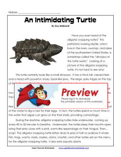 An Intimidating Turtle - Super Teacher Worksheets
