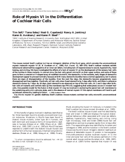 Role of Myosin VI in the Differentiation of Cochlear Hair Cells