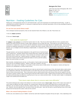 (IFRAME) Nutrition &ndash; Feeding Guidelines for Cats