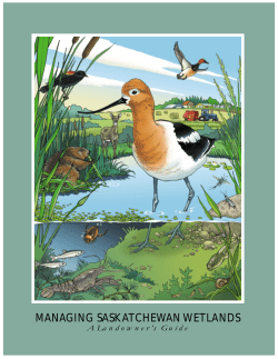 Managing Saskatchewan Wetlands