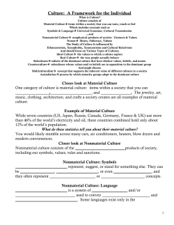 Culture: A Framework for the Individual