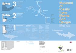 Museum of fossils from Monte San Giorgio Meride