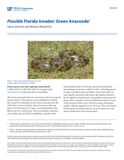 Possible Florida Invader - EDIS