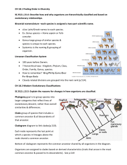 CH 18.1 Finding Order in Diversity SC.912.L.15.4: Describe how