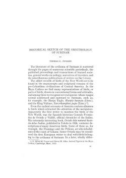 HISTORICAL SKETCH OF THE ORNITHOLOGY OF SURINAM The