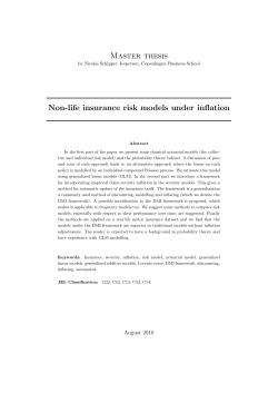 Non-life insurance risk models under inflation