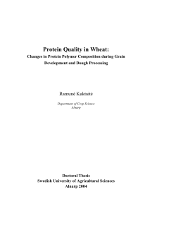 Protein Quality in Wheat: