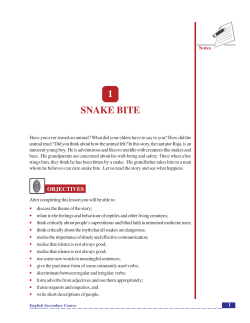 1 snake bite
