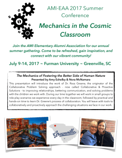 Greenville SC Flyer - AMI-EAA