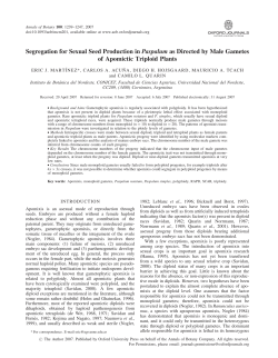 Segregation for Sexual Seed Production in