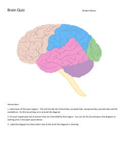 Brain Quiz - cloudfront.net