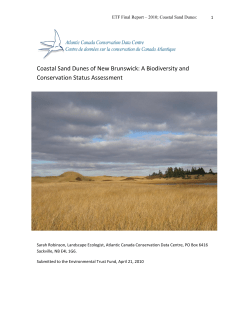 Coastal Sand Dunes of New Brunswick