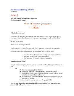 Developmental Biology BY1101 Lecture 3 &bull; Germ cell formation