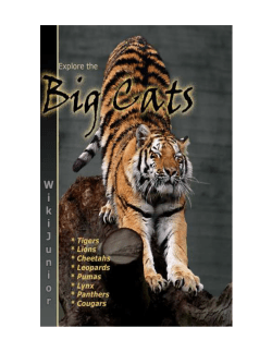 Big cats - Wikimedia Commons