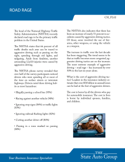 ROAD RAGE - State Auto