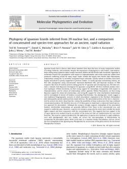 Phylogeny of iguanian lizards inferred from 29 nuclear loci, and a