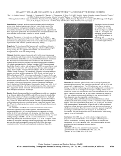 ligament cells are organized in a 3-d network that is disrupted during