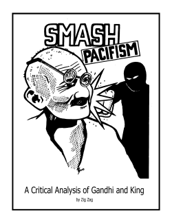 A Critical Analysis of Gandhi and King