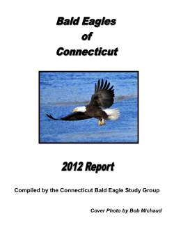 Compiled by the Connecticut Bald Eagle Study Group