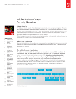 Adobe Business Catalyst Security Overview