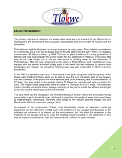 executive summary - Tlokwe City Council