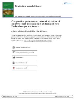 Composition patterns and network structure of epiphyte&ndash;host
