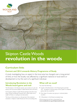 revolution in the woods