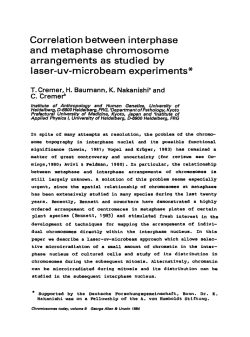 Correlation between interphase and metaphase chromosome
