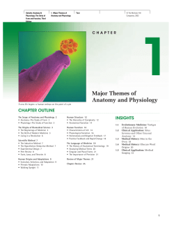 Major Themes of Anatomy and Physiology
