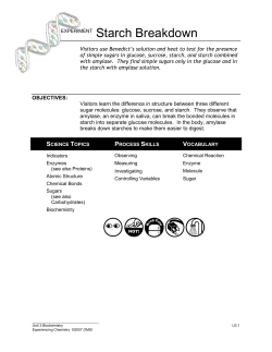 EXPERIMENT Starch Breakdown