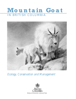 Mountain Goat for PDF - Ministry of Environment