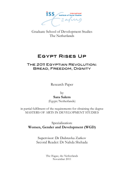 Egypt Rises Up