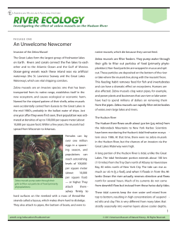 Zebra Mussel Lesson 1 Reading Passage 1-higher