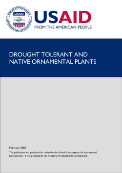 Drought Tolerant and Native Ornamental Plants