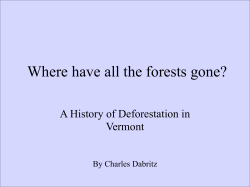 A History Of Deforestation In Vermont