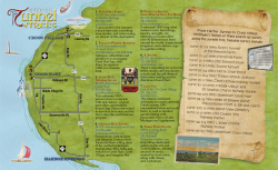 Tunnel of Trees - Primitive Images