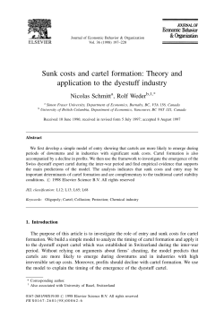 Sunk costs and cartel formation: Theory and application to