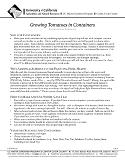 Growing Tomatoes in Containers - UC Master Gardeners of Contra