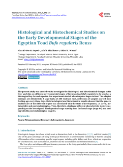 Histological and Histochemical Studies on the Early Developmental