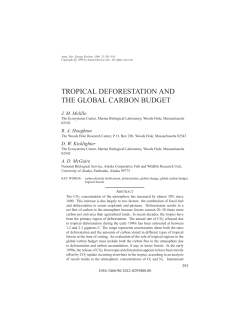 tropical deforestation and the global carbon budget