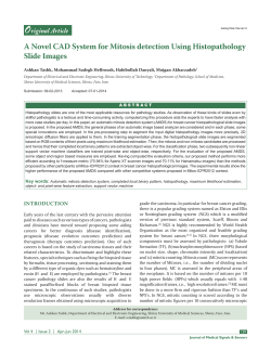 A Novel CAD System for Mitosis detection Using Histopathology