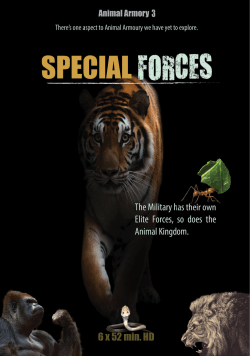 Special Forces - Episode Synopsis