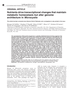 Nutrients drive transcriptional changes that maintain