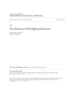 The allometry of bird flight performance