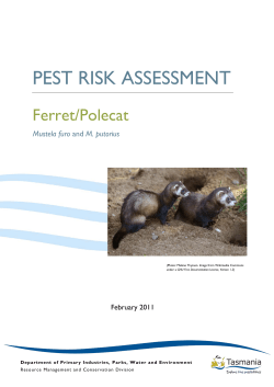 pest risk assessment - Department of Primary Industries, Parks