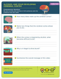 ALCOHOL AND YOUR DEVELOPING CEREBRAL CORTEX