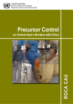 Precursor Control on Central Asia`s Borders with China