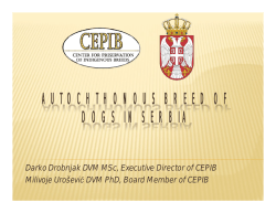 AUTOCHTHONOUS BREED OF DOGS IN SERBIA