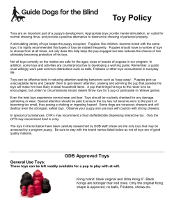 Toy Policy - Boulder Guide Dog Puppies