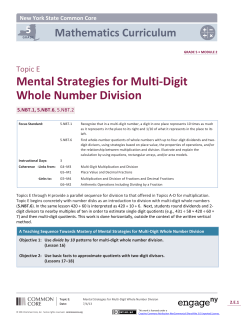 Topic E: Mental Strategies for Multi
